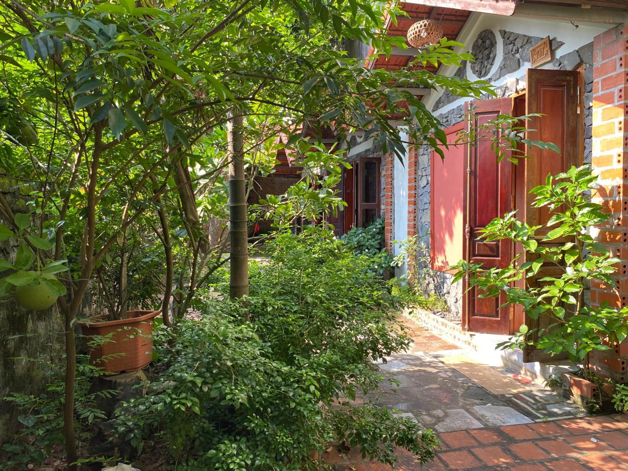Tam Cốc Ngô Đồng homestay&Vegan restaurant Ninh Binh Exterior foto